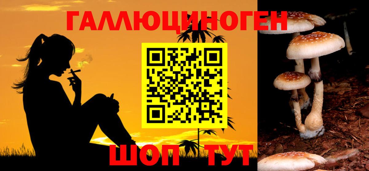 Галлюциногенные грибы прущие грибы  Псилоцибиновые грибы прущие грибы  Вход с VPN  Северск 